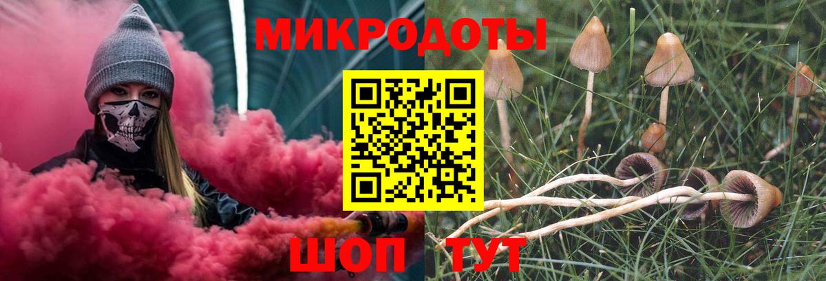Советск  Псилоцибиновые грибы мухоморы  Псилоцибиновые грибы ЛСД  Вход с VPN 